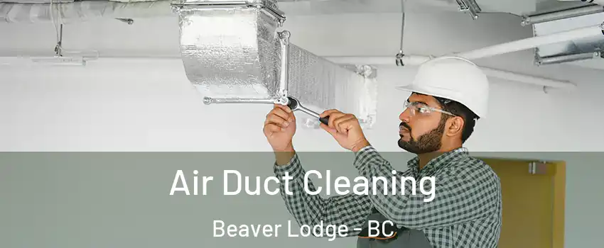  Air Duct Cleaning Beaver Lodge - BC