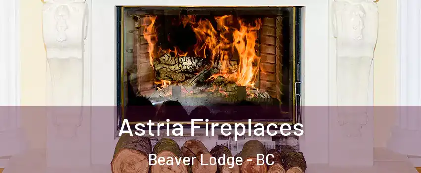  Astria Fireplaces Beaver Lodge - BC
