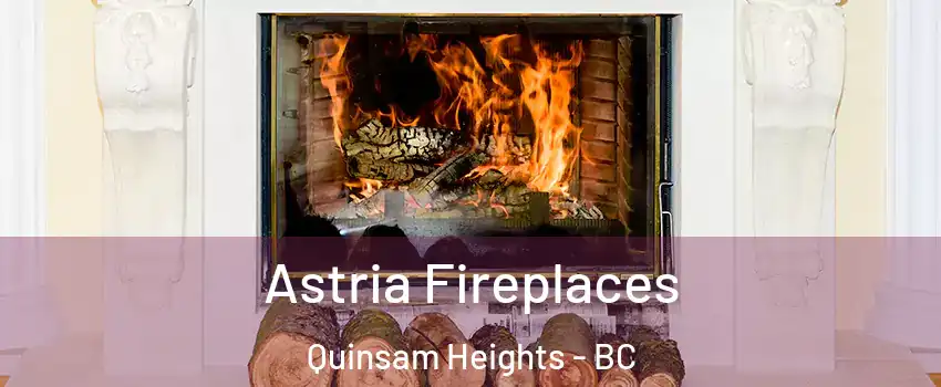 Astria Fireplaces Quinsam Heights - BC