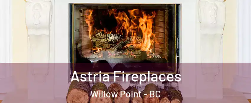  Astria Fireplaces Willow Point - BC