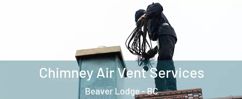  Chimney Air Vent Services Beaver Lodge - BC