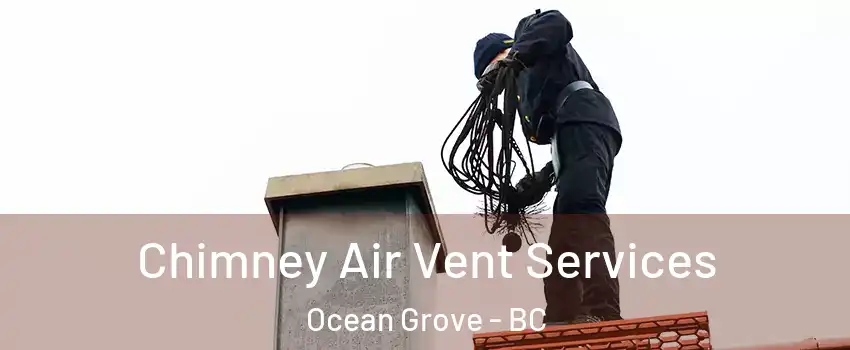  Chimney Air Vent Services Ocean Grove - BC