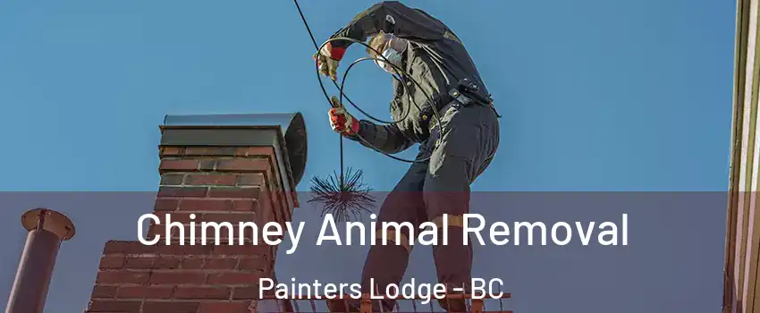 Chimney Animal Removal Painters Lodge - BC