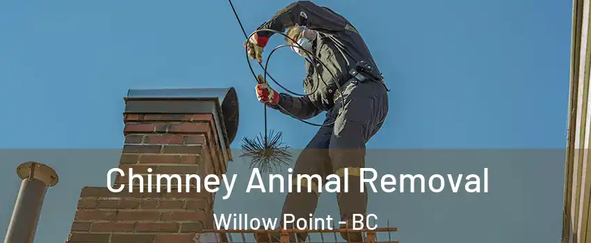 Chimney Animal Removal Willow Point - BC