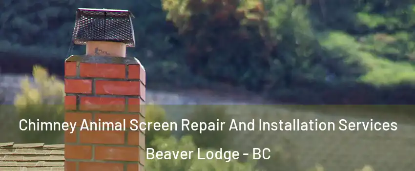 Chimney Animal Screen Repair And Installation Services Beaver Lodge - BC