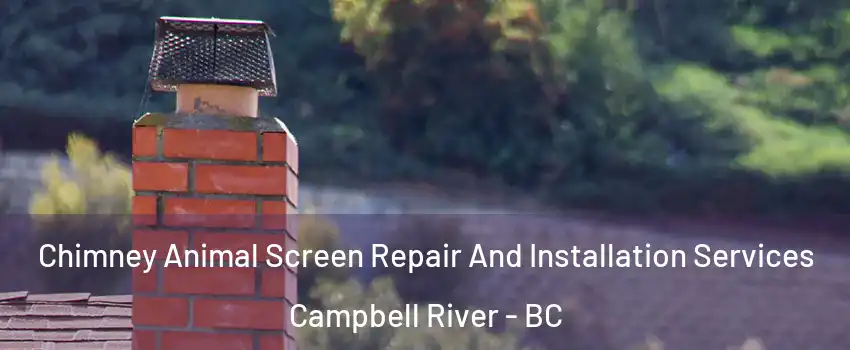  Chimney Animal Screen Repair And Installation Services Campbell River - BC