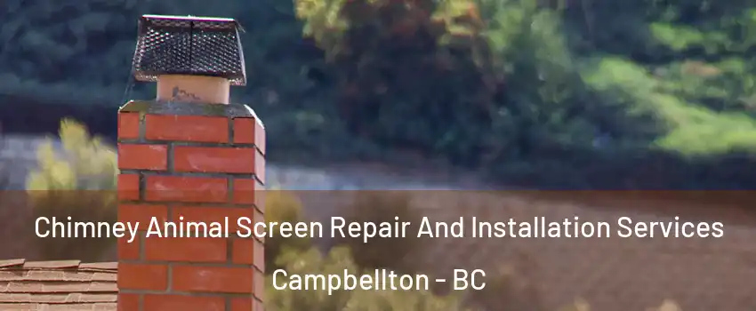  Chimney Animal Screen Repair And Installation Services Campbellton - BC