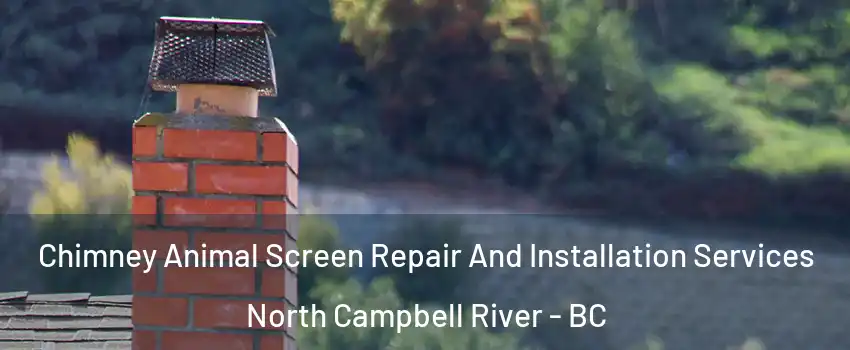  Chimney Animal Screen Repair And Installation Services North Campbell River - BC