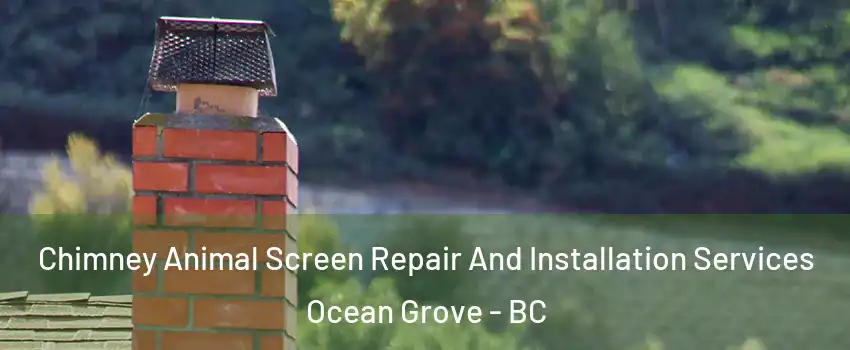  Chimney Animal Screen Repair And Installation Services Ocean Grove - BC