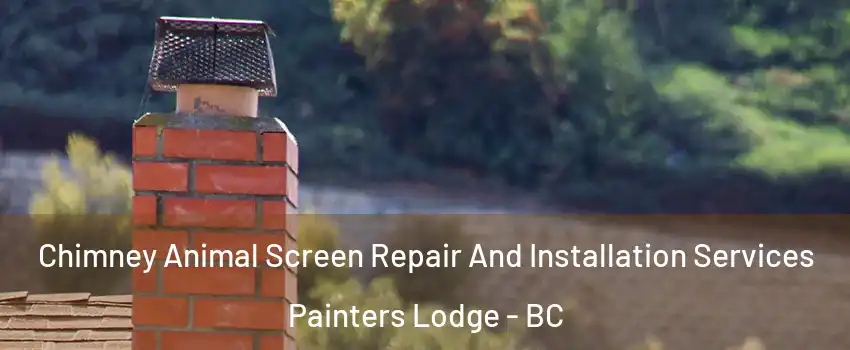  Chimney Animal Screen Repair And Installation Services Painters Lodge - BC