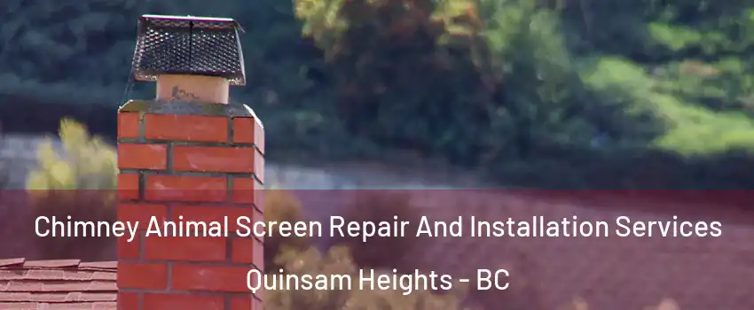  Chimney Animal Screen Repair And Installation Services Quinsam Heights - BC