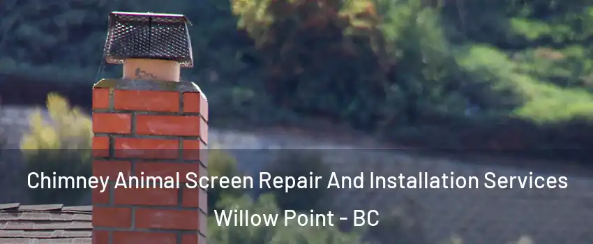  Chimney Animal Screen Repair And Installation Services Willow Point - BC
