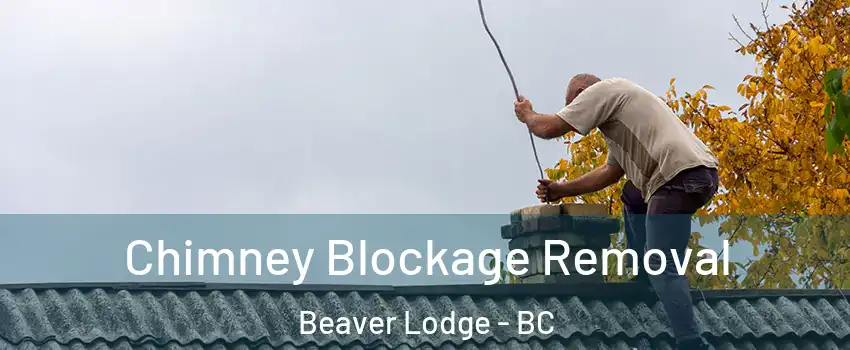  Chimney Blockage Removal Beaver Lodge - BC
