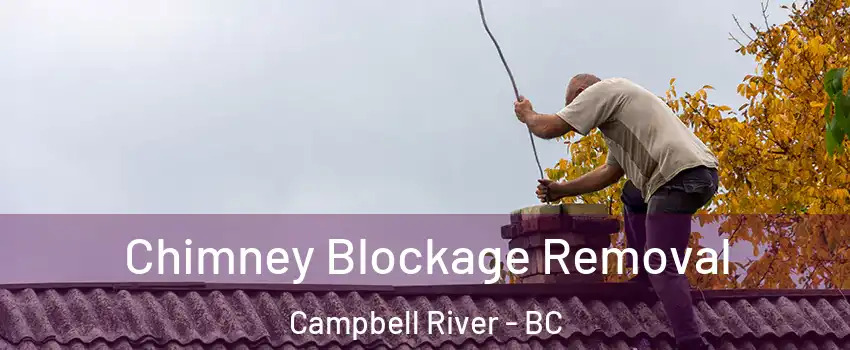  Chimney Blockage Removal Campbell River - BC