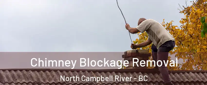  Chimney Blockage Removal North Campbell River - BC
