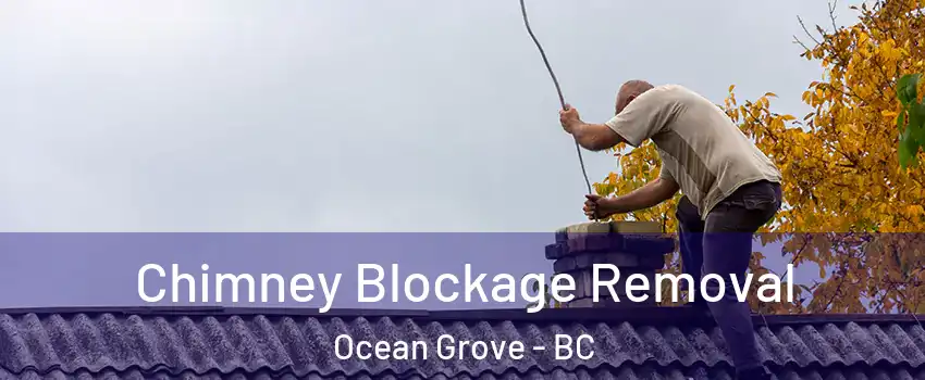  Chimney Blockage Removal Ocean Grove - BC