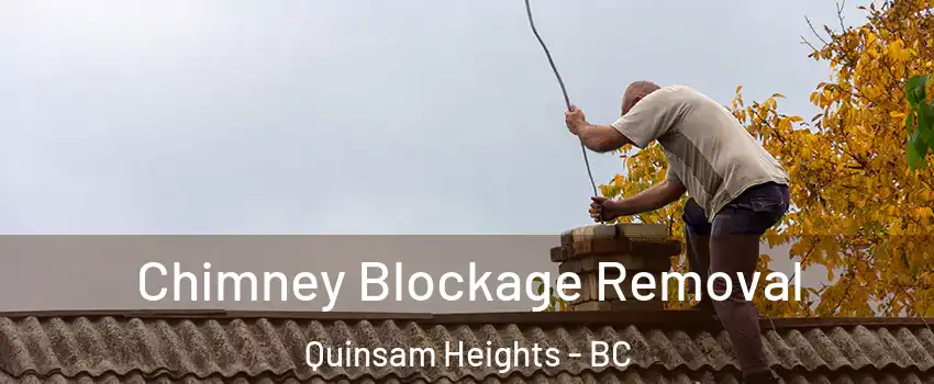  Chimney Blockage Removal Quinsam Heights - BC