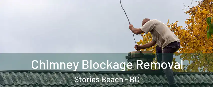  Chimney Blockage Removal Stories Beach - BC