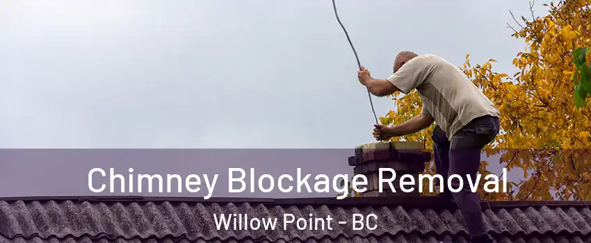 Chimney Blockage Removal Willow Point - BC