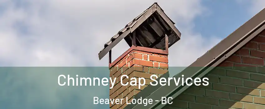  Chimney Cap Services Beaver Lodge - BC