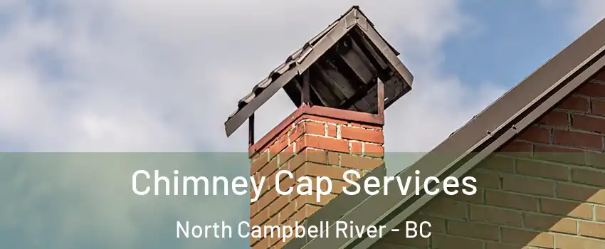  Chimney Cap Services North Campbell River - BC