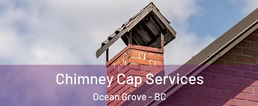  Chimney Cap Services Ocean Grove - BC