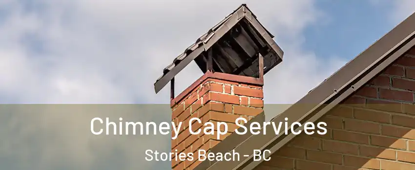  Chimney Cap Services Stories Beach - BC