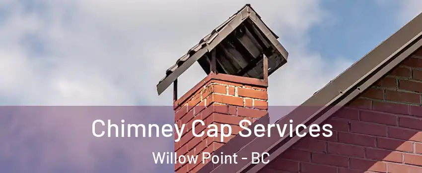  Chimney Cap Services Willow Point - BC