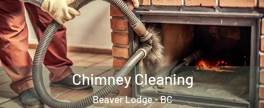  Chimney Cleaning Beaver Lodge - BC