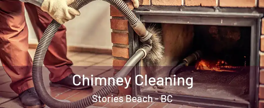  Chimney Cleaning Stories Beach - BC