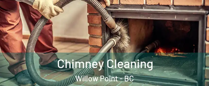  Chimney Cleaning Willow Point - BC