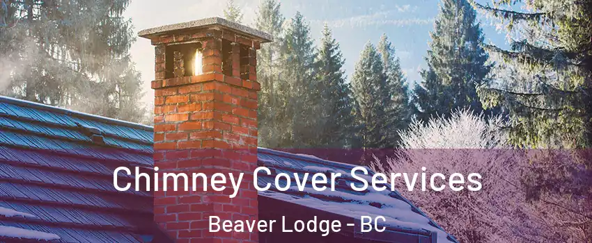  Chimney Cover Services Beaver Lodge - BC