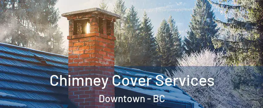 Chimney Cover Services Downtown - BC