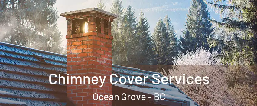  Chimney Cover Services Ocean Grove - BC
