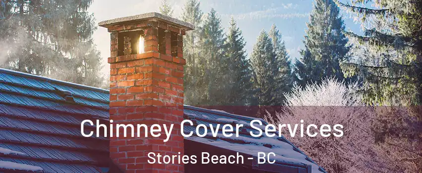  Chimney Cover Services Stories Beach - BC