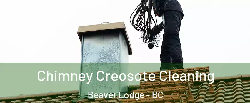  Chimney Creosote Cleaning Beaver Lodge - BC