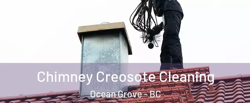  Chimney Creosote Cleaning Ocean Grove - BC
