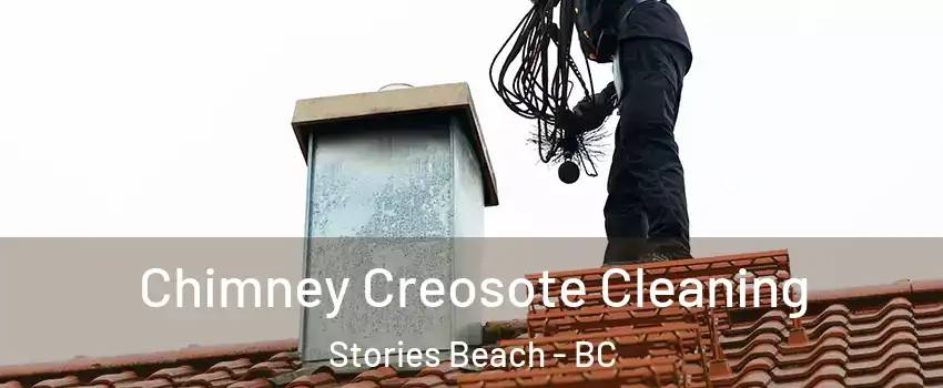  Chimney Creosote Cleaning Stories Beach - BC