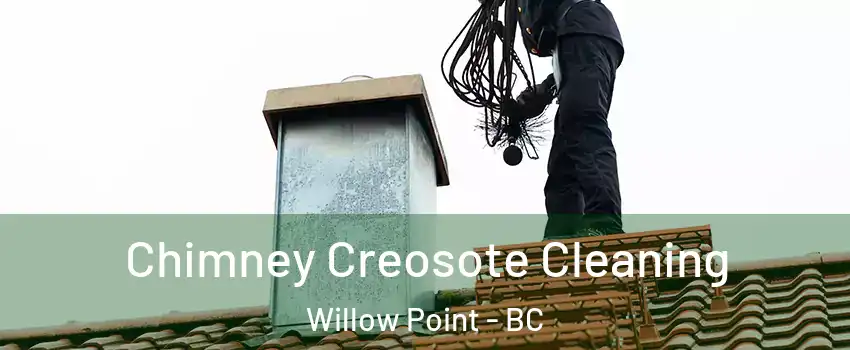  Chimney Creosote Cleaning Willow Point - BC