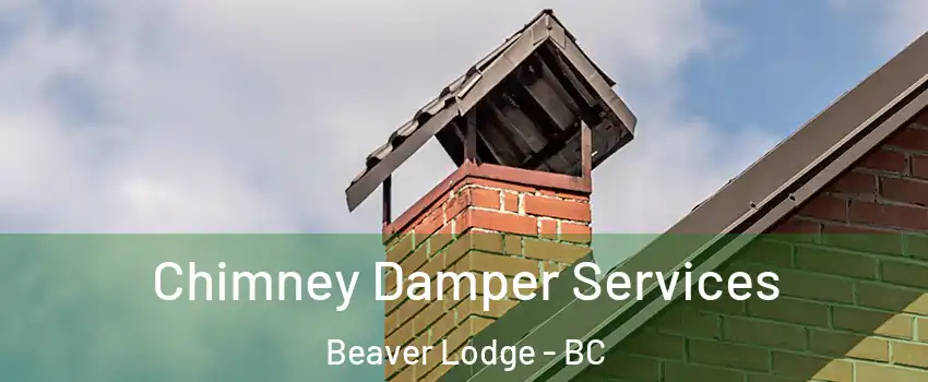  Chimney Damper Services Beaver Lodge - BC
