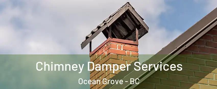  Chimney Damper Services Ocean Grove - BC