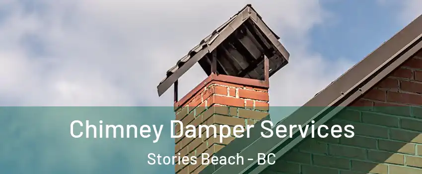  Chimney Damper Services Stories Beach - BC