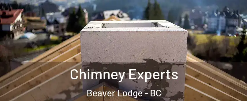 Chimney Experts Beaver Lodge - BC