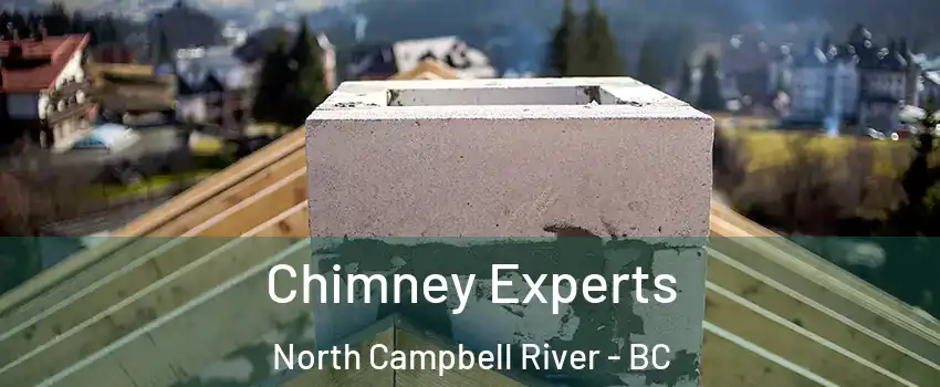 Chimney Experts North Campbell River - BC