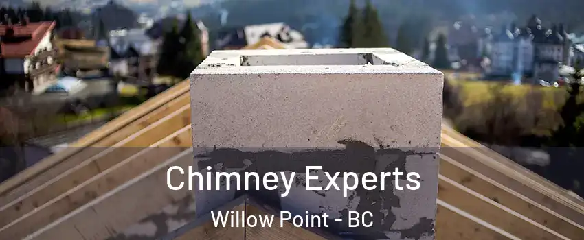 Chimney Experts Willow Point - BC