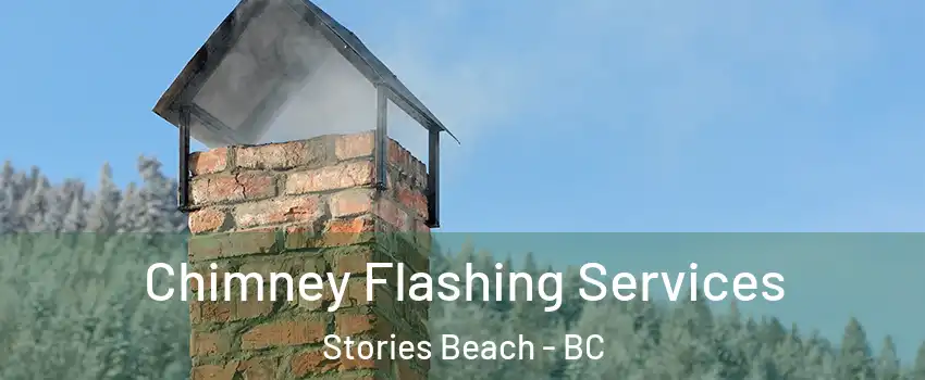 Chimney Flashing Services Stories Beach - BC