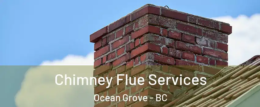 Chimney Flue Services Ocean Grove - BC