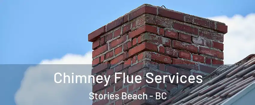 Chimney Flue Services Stories Beach - BC