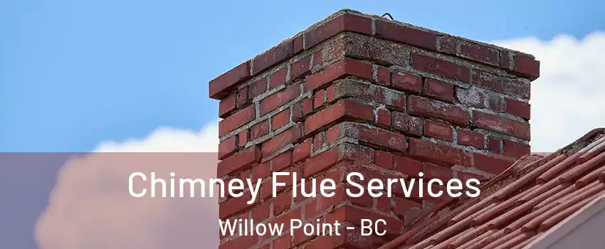  Chimney Flue Services Willow Point - BC