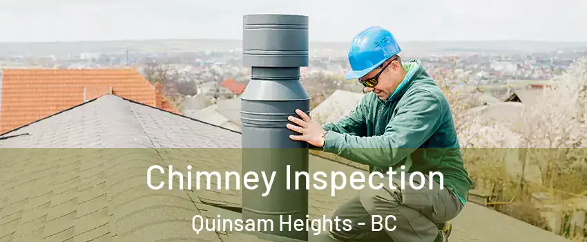 Chimney Inspection Quinsam Heights - BC